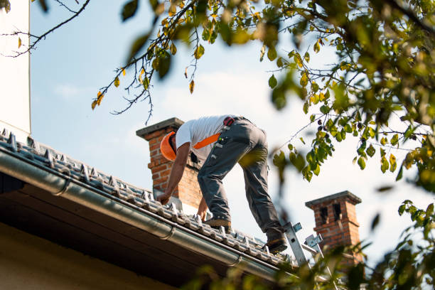 Best Roof Repair Services  in Fairmount, IN