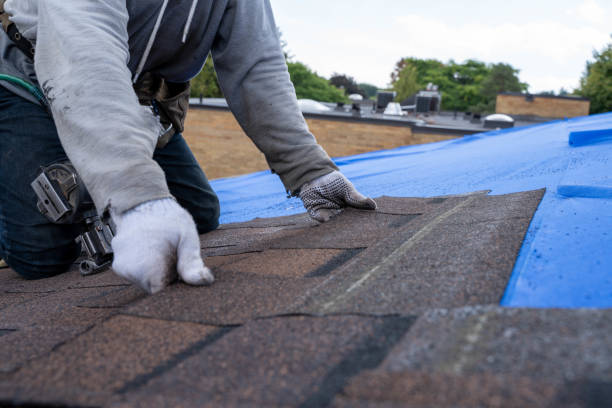 Best Storm Damage Roof Repair  in Fairmount, IN